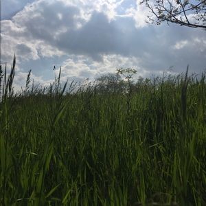 Meet your Posher, Brynn